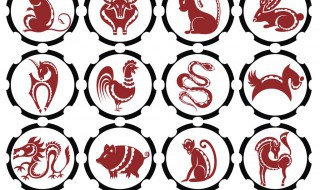 1988年五行属什么 1988年五行属什么木