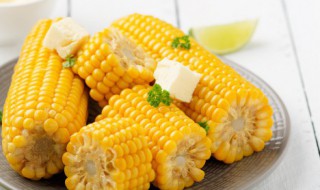 梦到吃玉米（梦到吃玉米什么意思）