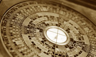 天运五行属木是什么意思（天运五行属木者是什么意思）