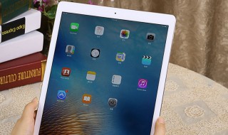 ipad平板怎么清理垃圾（ipad怎么清理垃圾）