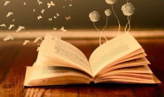 从格的概念 什么是从格