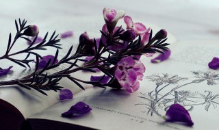 癸未是什么意思 岁次癸未是什么意思