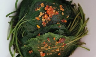 苏子叶咸菜做法（苏子叶咸菜的做法）