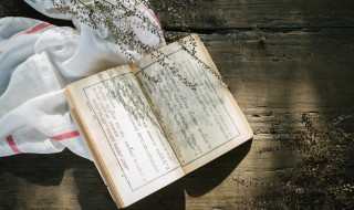 畚箕是什么意思 无罗十畚箕是什么意思