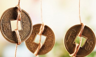 猫在风水上代表什么 猪来穷,狗来富,猫来开当铺