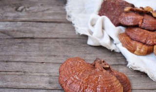 灵芝煲汤放什么材料好 灵芝煲鸡汤的正确方法