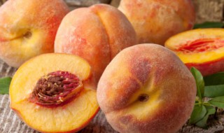 蟠桃怎么保存（蟠桃怎么保存久一点）
