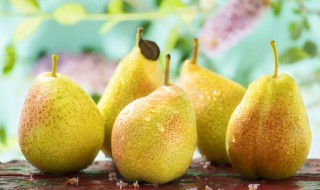 秋梨膏可以放多久 自己做的秋梨膏可以放多久