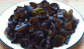 木耳菜的吃法（木耳炒什么菜好吃）