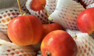 哪些人不能吃沙果(沙果能不能吃)