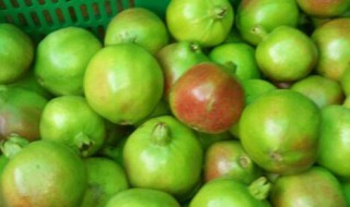 哪些人不能吃青皮石榴 青石榴能吃吗