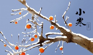 小寒如何防病养生 小寒养生要点指导百度经验