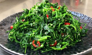 荠菜的吃法（荠菜的吃法大全）