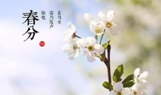 春分这个节气有什么特征（了解春分节气）