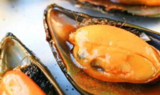 哪些人不能吃鲜贻贝（哪些人不能吃鲜贻贝类食物）