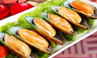 鲜贻贝的吃法 鲜贻贝的吃法与做法