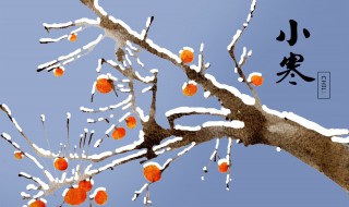 宝宝小寒节气吃什么最好（宝宝小寒节气吃什么最好吃）