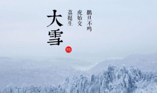 大雪节气吃什么进补对身体好 大雪节气吃什么食物养生