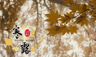 寒露节气的特征有哪些（寒露节气的特征有哪些呢）