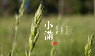 小满节气的特点（小满节气的特点和风俗 由来简介）