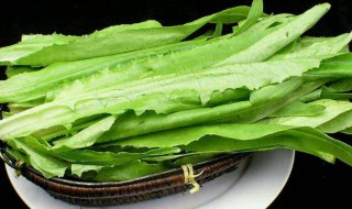 哪些人不能吃油麦菜（油麦菜适合什么人吃）