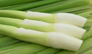 茭白的吃法 茭白的吃法与做法大全