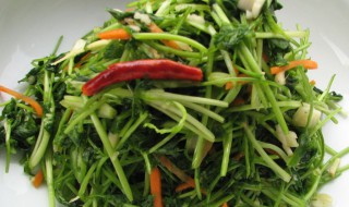 香菜的吃法（香菜的吃法有哪些）