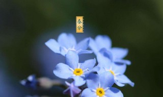 2022年春分节气有什么忌讳 2021年春分节气时间