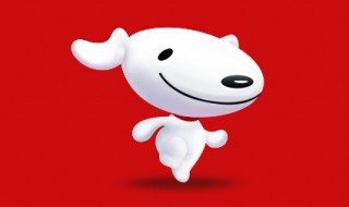 京东怎么退货手机版（京东怎么退货手机版退款申请）