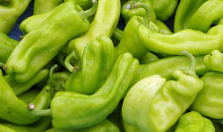 青椒的吃法 腌制青椒的家常方法