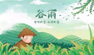 谷雨的节气特点 谷雨节气特点图片