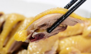 柴鸡的吃法 柴鸡的做法大全家常