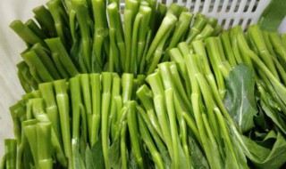 哪些人不能吃菜苔（哪些人不能吃菜苔）