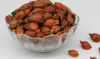 栀子的吃法（栀子的吃法与作用）