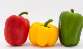 哪些人不能吃柿子椒（柿子椒什么人不能吃）