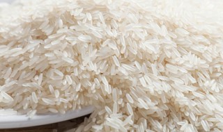 粘米的吃法(黏米的吃法)