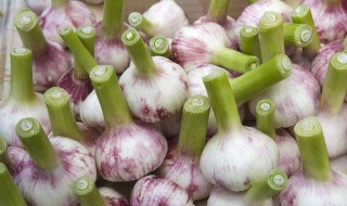 哪些人不能吃青蒜(哪些人不能吃青蒜头)