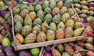 哪些人不能吃太阳果（太阳果可以吃吗）