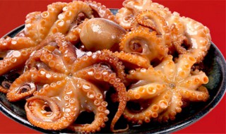 哪些人不能吃章鱼(哪些人不能吃章鱼干)