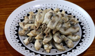 哪些人不能吃蛏子 蛏子干什么人不能吃