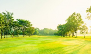 美好的一天早晨好问候语 美好的一天早晨好问候语图片