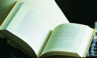 驷马难追意思 驷马难追意思和造句