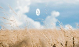 芒种养生吃什么好 芒种饮食养生