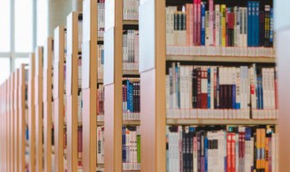 城门失火殃及池鱼意思(城门失火殃及池鱼意思相近)