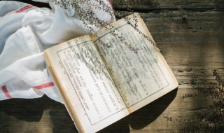 无源之水无本之木意思 无源之水无本之木意思相近的句子