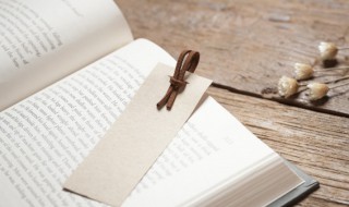 岌岌可危意思 岌岌可危意思?