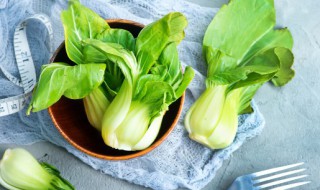 春季吃什么养胃 春季吃什么养胃护胃