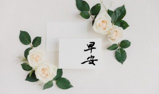 每日一条早安文案（每日一条早安文案怎么写）