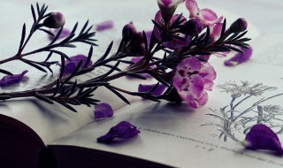 惨绿少年意思 惨绿少年啥意思