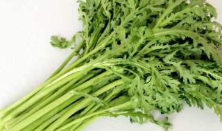 茼蒿菜的营养价值（茼蒿菜的营养价值及功效与作用）